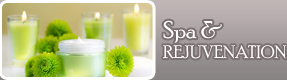 Spa Rejuvenation Theme